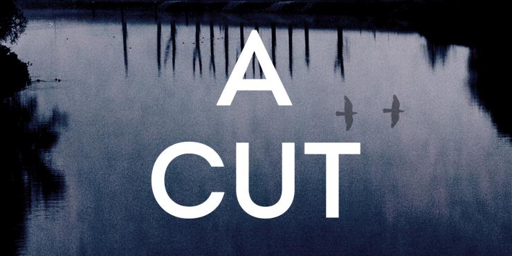 Blog tour: A Cut for a Cut by Carol Wyer