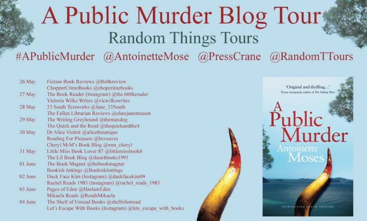 A Public Murder blog tour banner