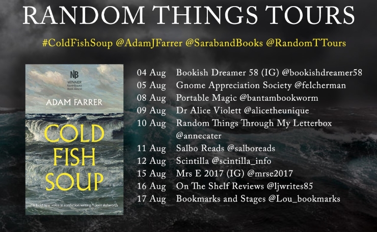 Cold Fish Soup blog tour banner