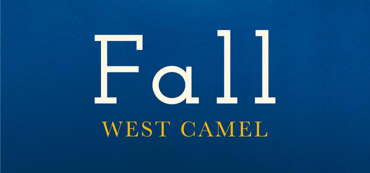 Blog tour: Fall by West Camel