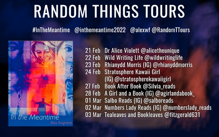 In the Meantime blog tour banner