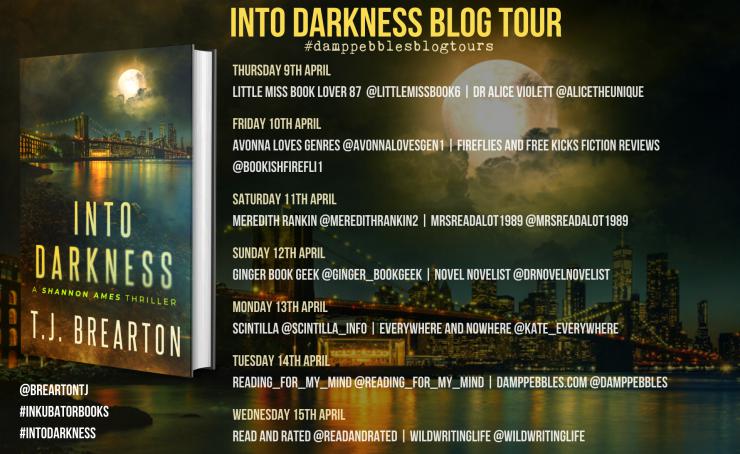 Into Darkness blog tour banner