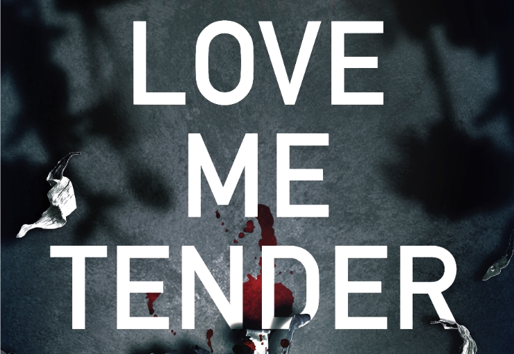 Blog tour: Love Me Tender by Lorraine Mace