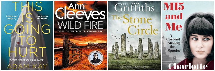 This is Going to Hurt, Wild Fire, The Stone Circle, MI5 and Me