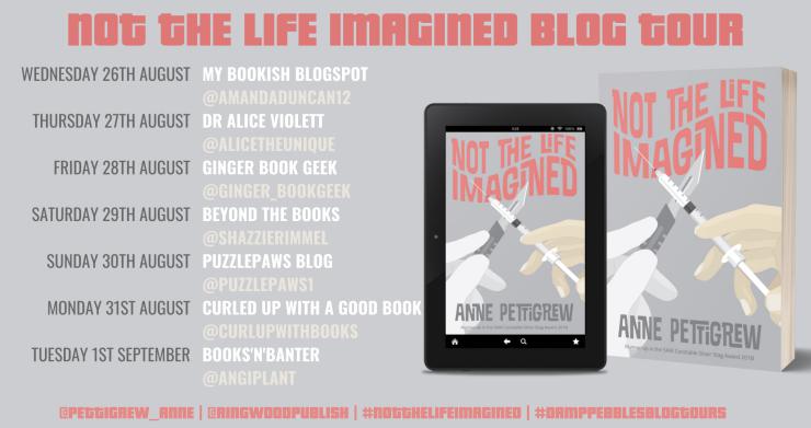 Not the Life Imagined blog tour banner