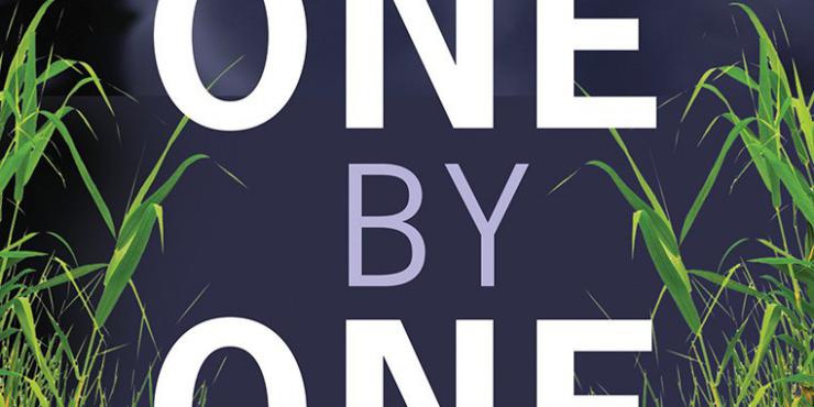 Blog tour: One By One by Helen Bridgett