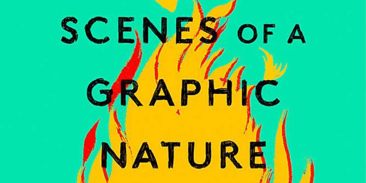 Scenes of a Graphic Nature