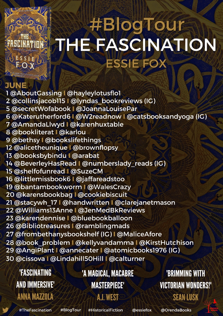 The Fascination blog tour banner