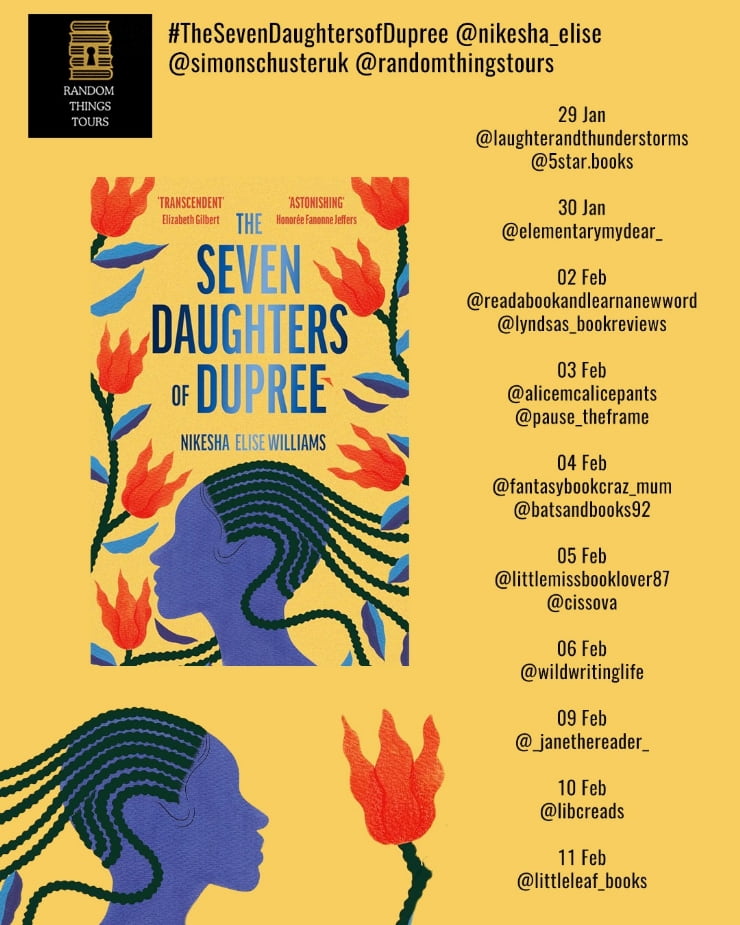 The Seven Daughters of Dupree blog tour banner