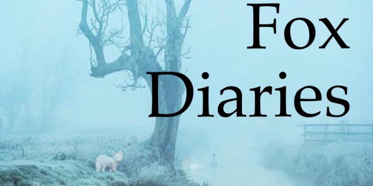 Blog tour: The Snow Fox Diaries, by Jan Mazzoni