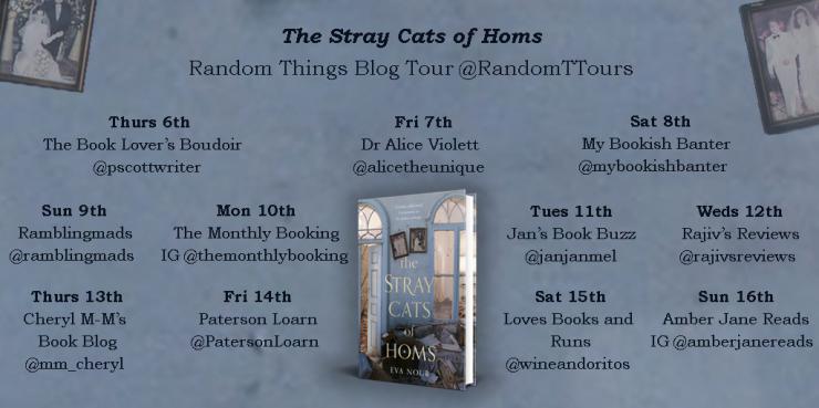 The Stray Cats of Homs blog tour banner