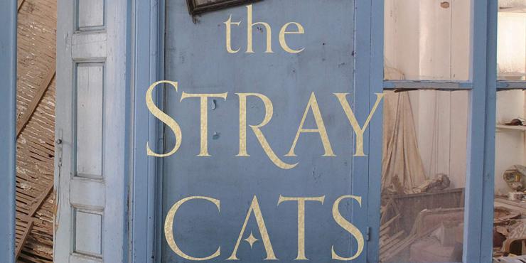 Blog tour: The Stray Cats of Homs by Eva Nour