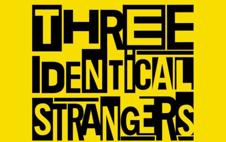 A few thoughts on Three Identical Strangers