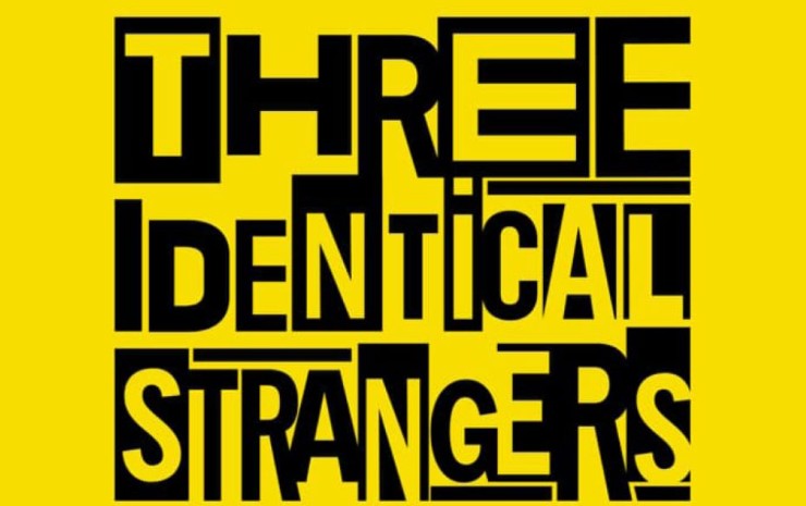 A few thoughts on Three Identical Strangers