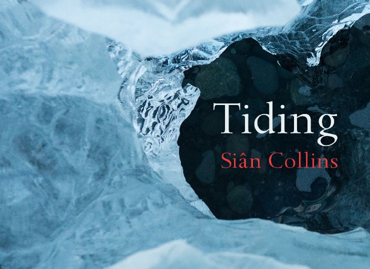 Blog tour: Tiding by Siân Collins